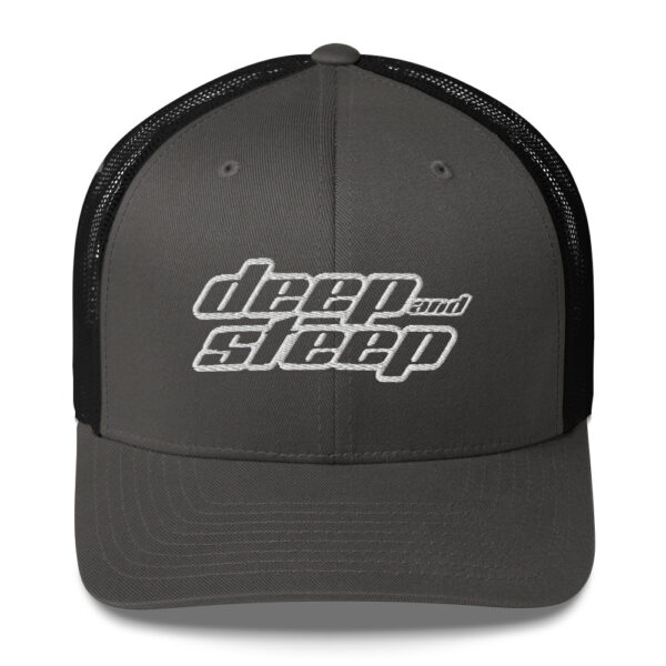 DS Trucker Hat - Image 4